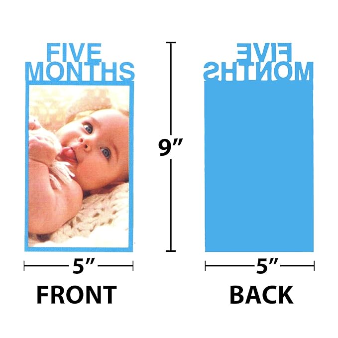 Party Propz 12 Months Photo Banner For Birthday - Bunting For 1st Birthday Decoration Items For Kids | 12 Months Baby Photo Frames | 1 To 12 Months Photo Banner Boy | 1 To 12 Months Photo Banner Girl